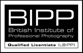 BIPP logo